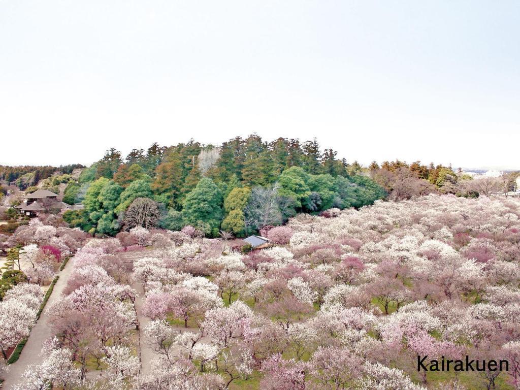 Mito Keisei Hotel Eksteriør bilde